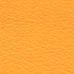 orange-331.jpg